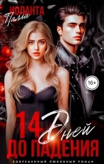 обложка книги Иоланта Палла "14 дней до падения"