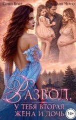 обложка книги Софи Вебер, Адалин Черно "Развод. У тебя вторая жена и дочь"