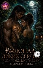 обложка книги Мирьям Дива "Водопад диких сердец"