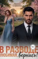 обложка книги Ирис - Ирина Соркина "В разводе. Любимая, вернись!"