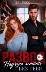 обложка книги Бри Росс "Развод. Научусь летать без тебя"
