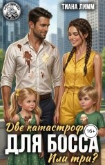 обложка книги Тиана Лимм "Две катастрофы для босса. Или три?"