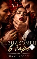 обложка книги Нилан Кросби "Незнакомец в баре"
