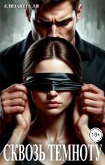 обложка книги Елизавета Ли "Развод. Сквозь темноту"