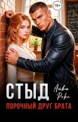 обложка книги Айви Рокс "Стыд. Порочный друг брата"