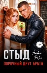 обложка книги Айви Рокс "Стыд. Порочный друг брата"