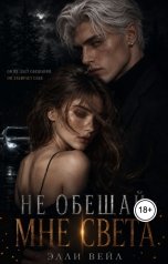 обложка книги Elli Veil "Не обещай мне света"