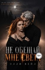 обложка книги Elli Veil "Не обещай мне света"