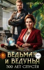 обложка книги Лейа Сагал "Ведьмак и Ведунья. 300 лет спустя"