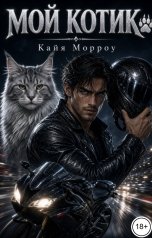 обложка книги Кайя Морроу "Мой котик"