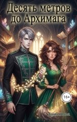 обложка книги Ания Нова "Десять метров до Архимага"