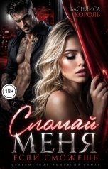 обложка книги Василиса Король "Сломай меня, если сможешь"