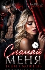 обложка книги Василиса Король "Сломай меня, если сможешь"