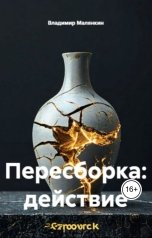 обложка книги В. Малянкин "Пересборка: действие"