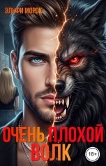 обложка книги Эльфи Морок "Очень плохой волк"