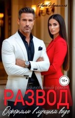 обложка книги Ника Никольская "Развод. Оформлю в лучшем виде"