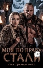 обложка книги Элина Кова "Моя по праву стали"