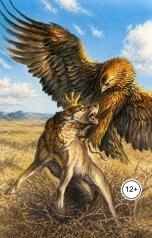 обложка книги Dimitry Irkitov "Этногенез и историческая трансформация Ирки-Иркит"