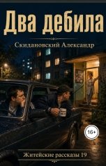 обложка книги Александр Скидановский "Два дебила"