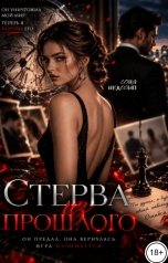 обложка книги Соня Недосып "Стерва из прошлого"