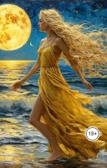 обложка книги Веспер Вилрен "Выгорание Звездного Капитана"
