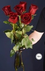 обложка книги Микаэлла Ол "Опоздавшие слова"