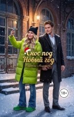 обложка книги Elizaveta Malchikova "Снос под Новый год"