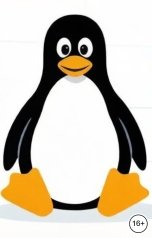 обложка книги Vadim Romanikov "Введение в Linux: Ключевые концепции и инструменты для тех, кто делает первые шаги"