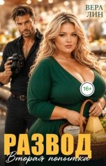 обложка книги Вера Лин "Развод. Вторая попытка"