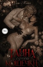 обложка книги Хлоя Минт "Тайна одной кошечки"
