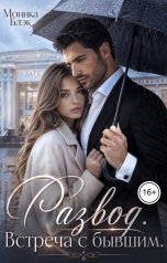 обложка книги Моника Блэк "Развод. Встреча с бывшим"