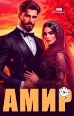 обложка книги Оля Кайгородова "Амир"