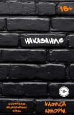 обложка книги Анфиса Шторм "Наказание"