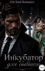 обложка книги Ein Soul Romance, N. So "Инкубатор для бывшего"