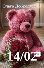 обложка книги Ольга Добродумова "14 02"