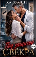 обложка книги Кара Мин "Под защитой свёкра"