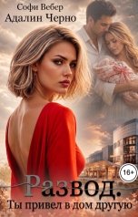 обложка книги Софи Вебер, Адалин Черно "Развод. Ты привел в дом другую"