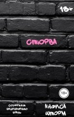 обложка книги Анфиса Шторм "Стюрва"