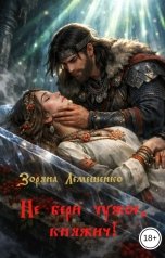обложка книги Зоряна Лемешенко "Не бери чужое, княжич!"
