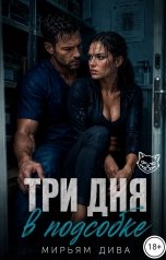 обложка книги Мирьям Дива "Три дня в подсобке"