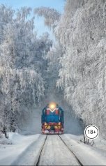 обложка книги violent555 "Мертвец. Жаклин Дюран"