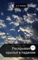 обложка книги Евгений Никитин "Раскрывая крылья в падении"