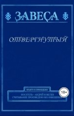 обложка книги Андрей Кобелев "Отвергнутый"