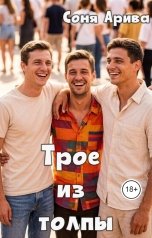 обложка книги Соня Арива "Трое из толпы"