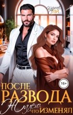 обложка книги Карина Ли "После развода. Жалею, что изменял"