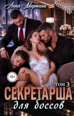 обложка книги Анна Мартини "Секретарша для Боссов 3"