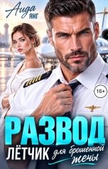 обложка книги Аида Янг "Развод. Лётчик для брошенной жены"