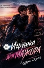 обложка книги Кристина Айкен "Игрушка для мажора. Сделаю своей"