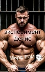 обложка книги Мира Ром "Эксперимент. Денис"