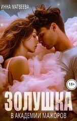 обложка книги Инна Матвеева "Золушка в академии мажоров"